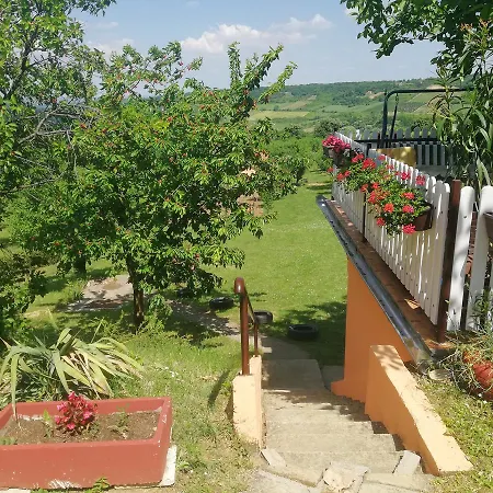 Casa vacanze Jevtovic Sremski Karlovci