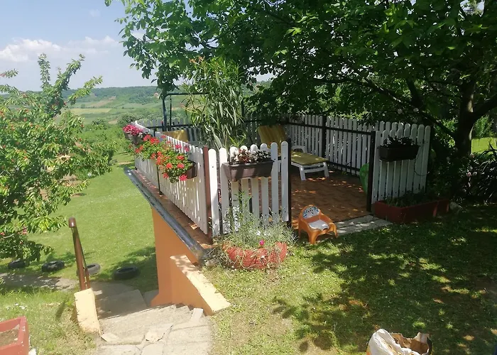 Jevtovic * スレムスキ・カルロヴツィ