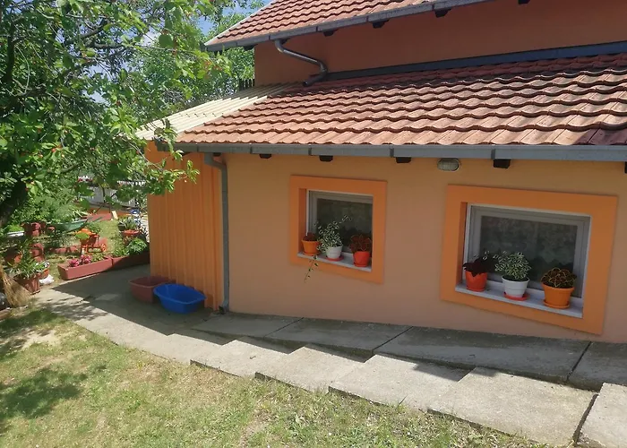 Jevtovic 別荘 スレムスキ・カルロヴツィ