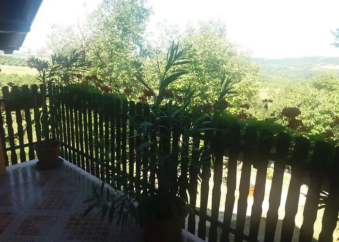 Jevtovic * スレムスキ・カルロヴツィ